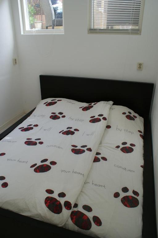 Continentaiz Appartement 잔드보르트 객실 사진